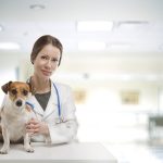 Pet-Health-Care