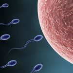 yumurtalar-spermler-konusunda-oldukca-secici-davraniyor